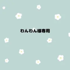 わんわん様専用