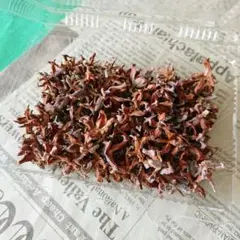 Mimi様 リクエスト 5点 まとめ商品