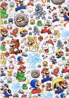 スーパーマリオ　パワーアップクリアファイル