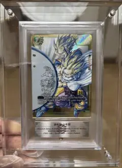 G*N様 孫悟飯:少年期 SCR FB01-140