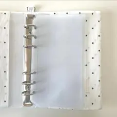 Item thumbnail for item 22da0cee-9b6d-4253-8ed9-6fd2eed36649