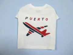 Item thumbnail for item 596fb98f-272b-48eb-9dad-79645265b451