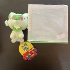 るかっぷ　ニャオハ