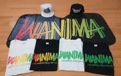 WANIMA 非売品限定サンシェード・Tシャツ・キャップセット