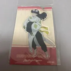 らんま1/2 BIGアクリルキーホルダー ムース