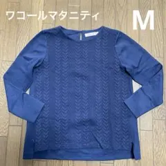 Item thumbnail for item aa28e037-1e6d-4c25-95c5-fdf02caa279c