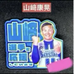 Item thumbnail for item 781e3b0a-ae59-47eb-a63f-de08d9b913f3