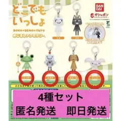 どこでもいっしょ めじるしアクセサリー　リッキー、ピエール、ジュン、スズキセット