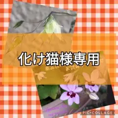 化け猫様 リクエスト 2点 まとめ商品