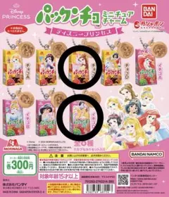 ディズニープリンセス パックンチョ ミニチュアチャーム