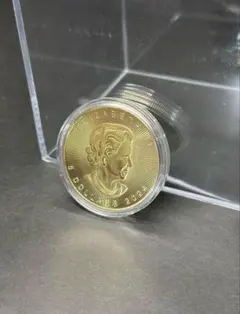 2026年最新】カナダ 記念硬貨の人気アイテム - メルカリ