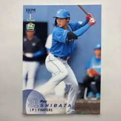 プロ野球カード　柴田獅子選手　ルーキーカード