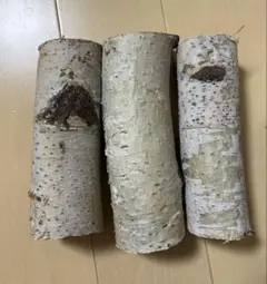 Item thumbnail for item 17255cae-ac16-474a-9009-92868f318e45