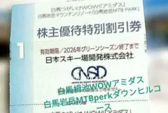株主優待特別割引券1枚 日本スキー場開発株式会社