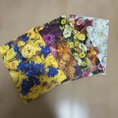 Item thumbnail for item 787d5859-0ba7-4425-815e-55f2d0dbd811