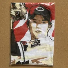 Item thumbnail for item ebdee294-db5a-47c8-be29-0eb958c3e17f