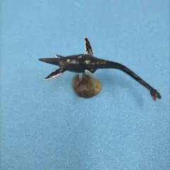 ダイノティルズ7-07.エラスモサウルス