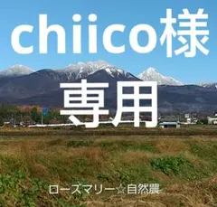 chiico様 リクエスト 7点 まとめ商品