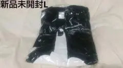 新品未開封 AKB48 HOLIC 2007ツアー Tシャツ バンドTオマージュ