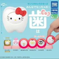 サンリオキャラクターズ　みんなで歯になっちゃお！４体セット