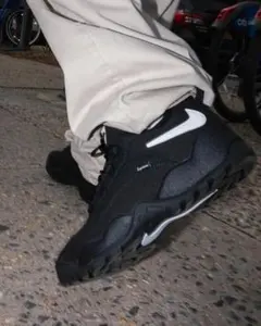 Supreme × Nike SB Darwin Low Blackのサムネイル