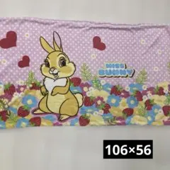 Item thumbnail for item 599beb36-c991-407a-86a2-1269225ffa08