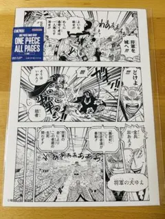 ONE PIECE ALL PAGES ゾロ　狂四郎