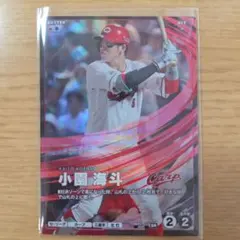 小園海斗 広島東洋カープ プロ野球ファンスターズリーグ SR
