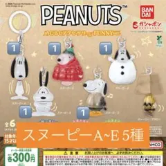 PEANUTS スヌーピー めじるしアクセサリー カプセルトイ 5種セット