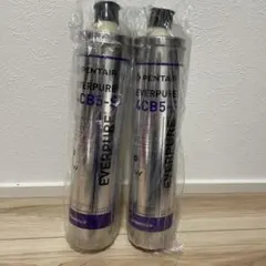 65C32 エバーピュア EVERPURE 4DC 浄水器 カートリッジ 6本 - メルカリ
