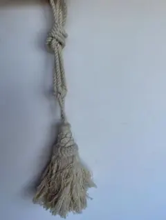 Item thumbnail for item 8bfec2f7-1bcd-45ba-a1a0-0049ae631d4e