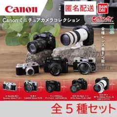 2026年最新】eos 7sの人気アイテム - メルカリ