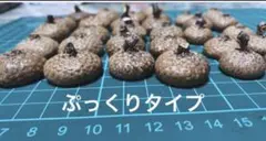 北海道レッドオークどんぐり帽子 ぷっくりタイプ　　ミックス80個前後