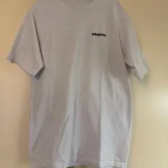 Item thumbnail for item e3429460-8c85-4fca-ad68-616c1dae3680