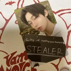 ENHYPEN THE SIN VANISH ソヌ トレカ