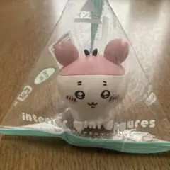 カニちゃん