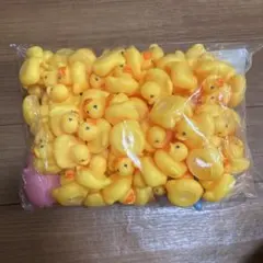 Item thumbnail for item d1c1010f-4bb6-401b-aebc-b811b8bde4d4