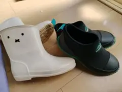 Item thumbnail for item 539e4144-6bc4-48d5-b61f-51f386aad1b7