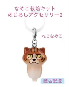 なめこ栽培キット めじるしアクセサリー2 ねこなめこ