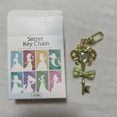 ディズニープリンセス　シークレットキーチェーン　ティアナ　鍵　キーホルダー