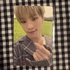 An Ode ディノ トレカ