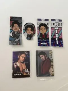 武知海青 千社札 セミコンプ セット 2025年最新】武知海青 千社札の人気アイテム - メルカリ