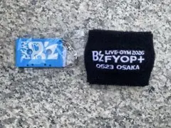 B'z FYOP naked 6/27 日付入りリストバンド カセットチャーム - メルカリ