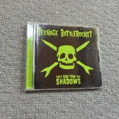 Teenage Bottlerocket アルバム　パンク