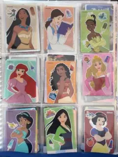 ディズニープリンセスカードセット