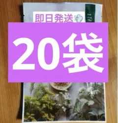 Item thumbnail for item 7c0999a3-3194-4ba6-842d-014edd5a6f05