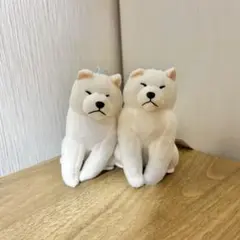 2026年最新】秋田犬 ほっこりの人気アイテム - メルカリ