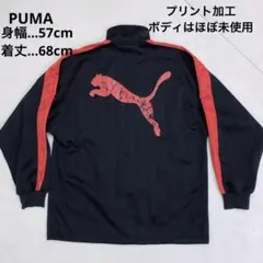 PUMA ストライプ ジャージ ブラック/レッド