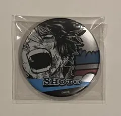 ヒロアカ ジャンプショップ デコレクション缶バッジ 第2弾 轟焦凍