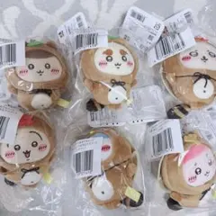 たぬきだもんくじ　c賞(ハチワレうさぎ栗まんじゅうシーサーラッコ古本屋)セット